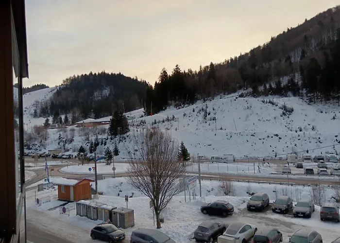 La Marmotte Cosy Vue Montagne & Parking La Bresse